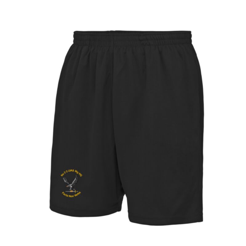 No 2 C-UAS Wg HQ Tech Shorts Thumbnail